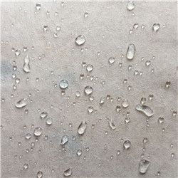 VTer-SN-001(白膜）_副本.jpg